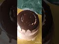 Double layer chocolate mocha cake