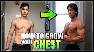 How to Grow your CHEST! Best Exercises & Training Routine!