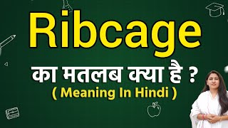 Ribcage meaning in hindi | Ribcage kya hota hai | Word meaning