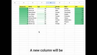 Google Sheets | Basics | Inserting and deleting rows and columns