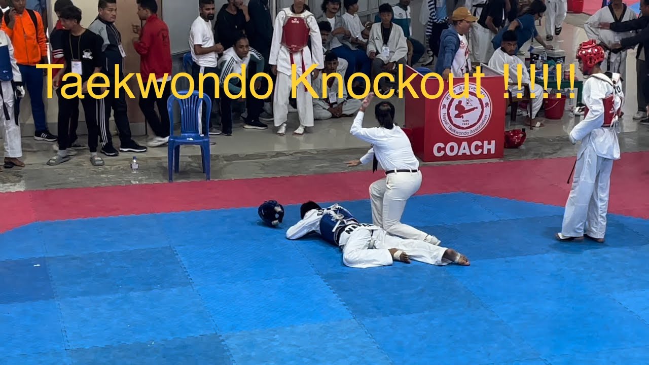 Taekwondo Knockout Fight 11th Korean Ambassador Nepal - YouTube