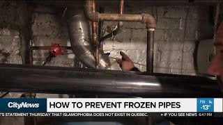 How can a homeowner prevent frozen pipes?