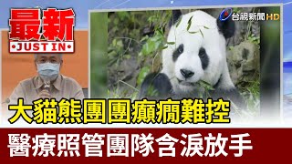 大貓熊團團癲癇難控 醫療照管團隊含淚放手【最新快訊】