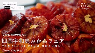 カフェコムサ【四国宇和島みかんフェア】ブラッドオレンジケーキ