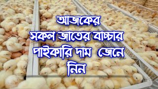 ৭ ফেব্রুয়ারি🐥 আজকে ব্রয়লার লেয়ার কক সোনালি দেশি টাইগার তিতির ফাউমি মুরগির বাচ্চার দাম কত 🐣জেনে নিন