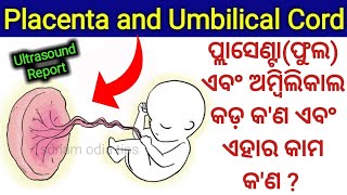 Placenta ଏବଂ Umbilical cord କ'ଣ ? ଏହାର କାମ କ'ଣ ? ଶିଶୁପାଇଁ କ'ଣ ସତରେ ଏତେ ଜରୁରୀ ? #sonamodiatips#odia