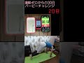 【2日目】運動ゼロからのバーピーチャレンジ shorts