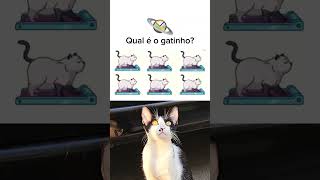 🙀🔥 QUAL É O GATO? PRESTE MUITA ATENÇÃO PARA NÃO ERRAR! DESAFIO DE RACIOCÍNIO LÓGICO!