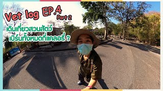 Vet log EP.4 Part 2 เดินเที่ยวสวนสัตว์เบิร์นทั้งหมดกี่แคลอรี่ ?