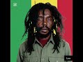 Them A Fe Get A Beatin- Peter Tosh (Official Music Audio 2025)#reggae #music #song 