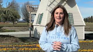 Ring in Spring with Tulip Town in Skagit Valley