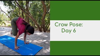 Crow pose Day 6 | Hamstring and hip opening sequence - 2