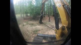 Forestry Mulching with a Cat 309 with a Denis Cimaf Dah-085B with Rice Patch Land Management