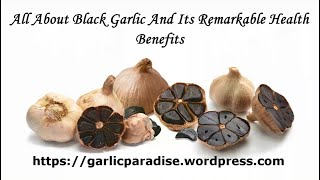 GARLIC PARADISE:  All About Black Garlic And Its Remarkable Health Benefits