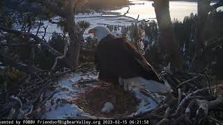 Early morning of February 15 FOBBV CAM Big Bear Bald Eagle Live Nest - Cam 1 / Wide View Cam 2