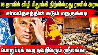 ஐ.நாவில் விழிபிதுங்கி நிற்கின்றது ரணில் அரசு! சர்வதேசத்தின் கடும் நெருக்கடி!பொறுப்புக்கூறா ஸ்ரீலங்கா