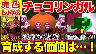 【ドラクエタクト】配布Aチョコリンガル完凸Lv.MAX！唯一無二の使い方紹介！