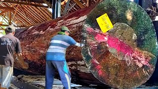 EXCLUSIVE! The Biggest Wood Cutting Expert At Sawmill