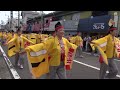 ゑびしば 2017本家高知よさこい 10日 万々 mususukunjp