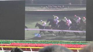 競馬 G1 2011年 第71回 皐月賞 ファンファーレ～ゴール 現地撮影 DSC-HX5V