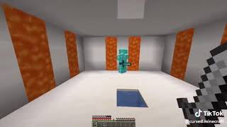 Cursed Minecraft TikTok compilation