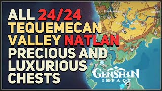 All Natlan Precious and Luxurious Chests Locations in Tequemecan Valley Genshin Impact