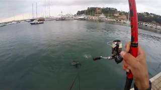 PESCA ALLE ORATE  A BOLOGNESE IN ZONA PORTUALE