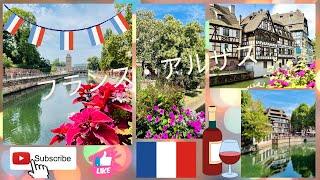 フランス🇫🇷有名なアルザスワイン産地、ヨーロッパ旅行10番目の国。ストラスブール。Exploring wine region in France. Strasbourg ＠親方世界旅行