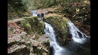 TMT 赤目四十八滝＆長坂山トレッキングキング 令和2年11月21日あしハイキング