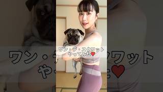 【7キロのパグのむぎを抱っこしてスクワットやってみた♡】#pug #puppy #パグ #犬のいる暮らし #pets #犬 #dog #shorts #かわいい #筋トレ #宅トレ #スクワット