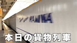 【貨物列車】本日の貨物列車　東海道本線1050番列車　レアコンテナ　浪速U52A積載！