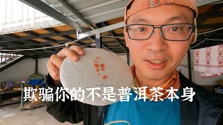 【饼子-中国云南古树普洱茶寻记】到底是谁欺骗了你？那些质疑普洱茶的人，茶农自己都在喝陈年老茶，你怎么想？