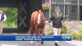 WATCH | Bourbon Co. farm has special connection to Kentucky Derby winner Mage