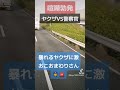 【喧嘩勃発】ヤクザvs警察官！暴れる容疑者に激おこおまわりさん👮🚨 breakingdown ケンカバトルロワイアル 警察 公務執行妨害 大外刈り 柔道 mma