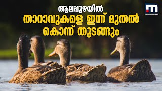 പക്ഷിപ്പനി; ആലപ്പുഴയിൽ താറാവുകളെ ഇന്ന് മുതൽ കൊന്ന് തുടങ്ങും | Bird flu | Alappuzha