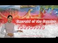 Indonesia | ASEAN Virtual Tour Guiding