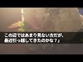 【感動する話】ひょんなことから質屋でバイトする俺。ある日、幼い子供を連れた青白い顔の女性が、怪しい巻物を買い取ってくれとやってきて100万円でそれを買い取った→半年後、美人がやってきて【泣ける話】朗読