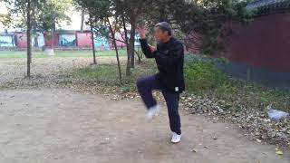 kung fu tbx - xing yi beng quan