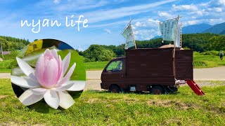 【nyan life】長野県富士見町井戸尻遺跡⭐︎蓮の花とこだわりコーヒーのキッチンカー