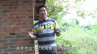 怎么样提高蜂王的交尾成功率？养蜂人教你一招轻松解决