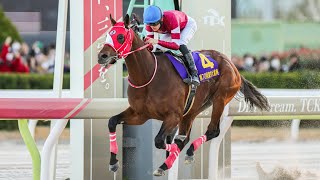 FOREVER YOUNG wins the 2024 Tokyo Daishoten (G1)