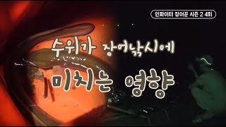 [FTV한국낚시채널] 수위가 장어낚시에 미치는 영향, 인파이터 장어꾼 시즌2 4회 풀버전, 충주호, 충주댐, eel, eel fishing,