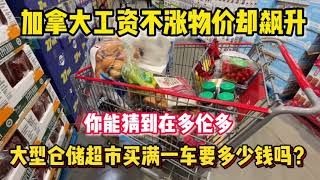 【Grocery Haul】加拿大🇨🇦物价飞涨，以后日子怎么办？带你实地逛多伦多Costco