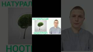 Натуральный Ноотроп l Бакопа Монье - Мех.действия #ноотропы #здоровье #бакопа #здоровье #витамины