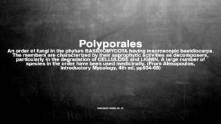 Medical vocabulary: What does Polyporales mean