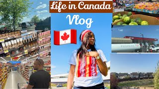 living in Brooks Alberta Canada 🇨🇦  /Canada is expensive/silent VLOG/Shopping/life in Canada/