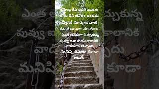 అందంగా విచ్చుకున్న పువ్వు#మనిషి జీవితం? #pleasesubscribe #ytshort #viralshort