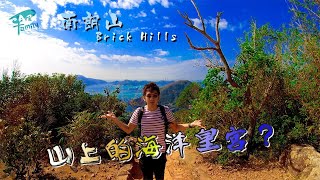 南朗山 Brick Hill【4K】 | 香港好去處 | P.Ark Family | P仔樂園 (2021)