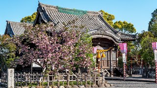 大村神社 Ohmura Jinja