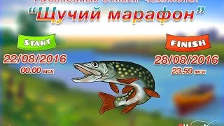 3-х ДНЕВНЫЙ ЩУЧИЙ МАРАФОН(#СОРЕВНОВАНИЯ)